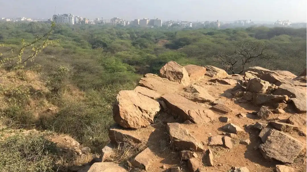 Sanjay Van